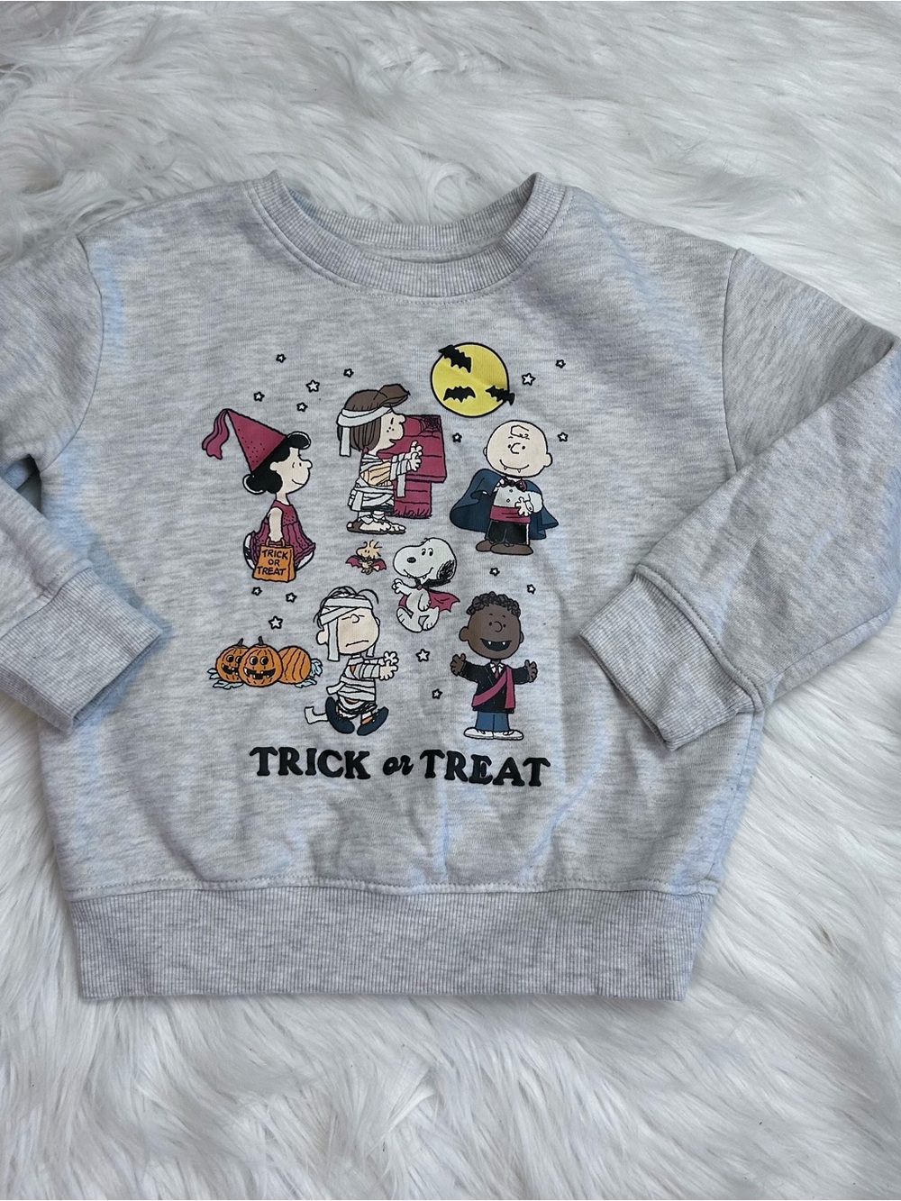 Jumping Beans Peanuts HALLOWEEN SWEATSHIRT Girls 4T Snoopy Gray Nostalgia Preppy